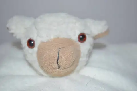 Karoo Sheep - Soothers