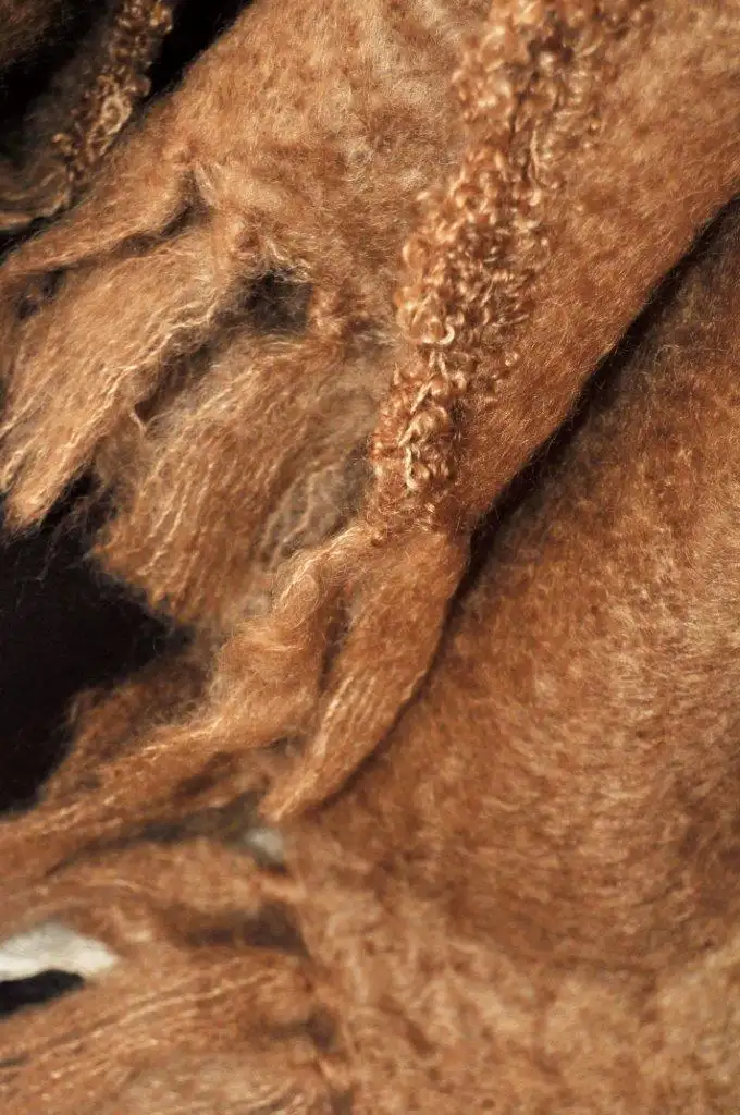 Ponjac / Poncho NE Bronze Short - Image 7